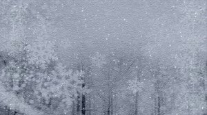 Снег на ладонях