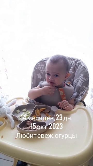 14 мес.,23 дн.Свежие огурцы любит (15 окт.2023).mp4