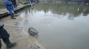 Поимка на резину