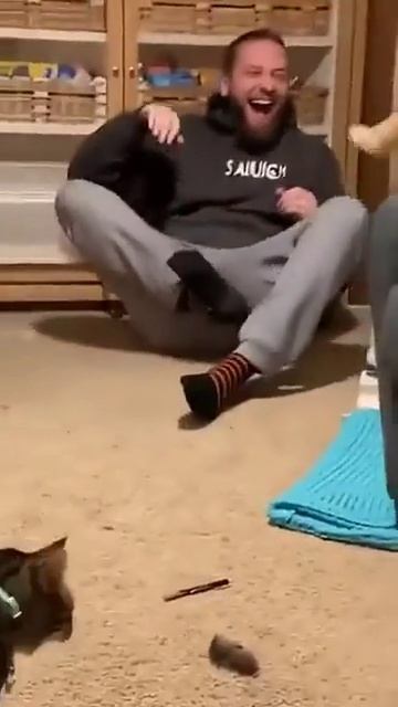 Городские они такие