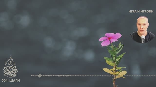 «Игра и Игроки». 004. Шаги. Сиддханта (Вячеслав Чернин)