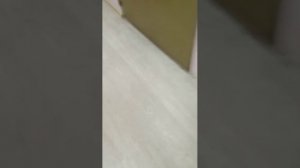 Волгоград  2025