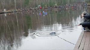 Рыбалка на нижнем водоёме. Клёвое место, Лосиный остров.