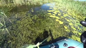 Видео от За Трофеем: Охота и Рыбалка