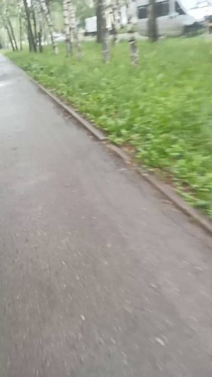 прогулка после дождя