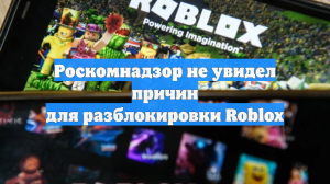 Роскомнадзор не увидел причин для разблокировки Roblox