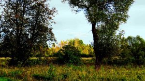 И опять моя любимая природа