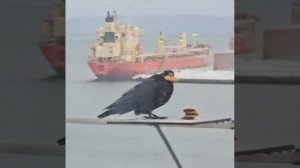 Всё моё! 👌😉☺️🫣🕵️