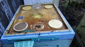 работа на пасеке в декабре, часть 3 , температура на улице плюс три градуса , 6.12.2025