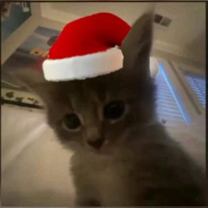 Стрим к ночи