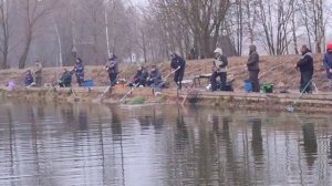 video5305613318822595157