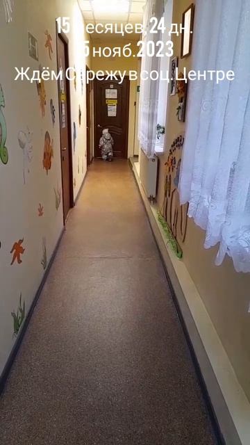 15 мес.,24 дн.Ждём Серёжу в соц.Центре (15 нояб.2023).mp4