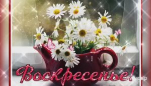 ДОБРОГО ВОСКРЕСНОГО УТРА.