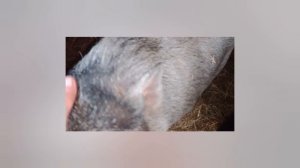 Вот и прошло пол дня