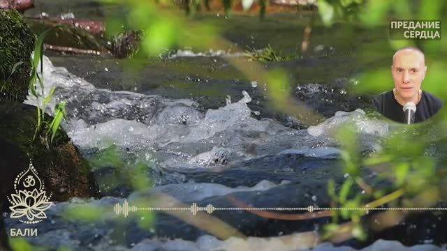 Святые демоны. Бали. Истории из «Шримад-Бхагаватам». Предание сердца. Сиддханта