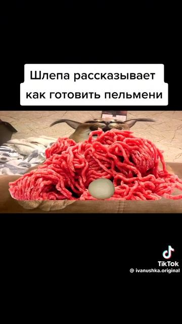 Шлепа показывает рецепт пельменей