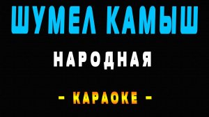 Караоке шумел камыш