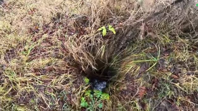 погоня в Чернобыле.Что будет если словят в Зоне Отчуждения в 2025?   (Влад резнов) реакция