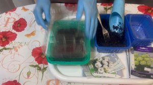 Сею эустому.