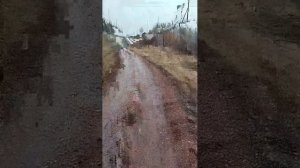 идём на прогулку