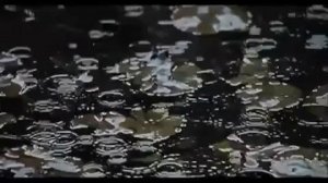 Апти Алаудинов "АХМАТ". Никто не знает