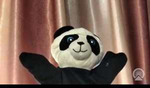 Интересные факты о которых вы не знали