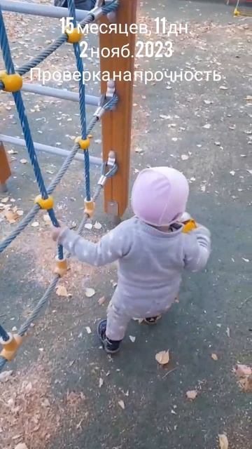 15 мес.,11 дн.Проверка на прочность.(2 нояб.2023).mp4