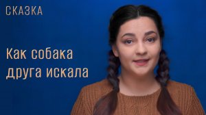 Сказка "Как собака друга искала"