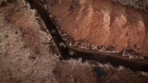 Ну, здраствуй брат!