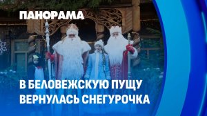 Новогодний сезон стартовал! Чем будут удивлять в Беловежской пуще? Панорама