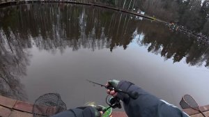 Эти форели дают жару. Клюют только батоны! Ловля форели на спиннинг. Безлимит. РК "Клевое место".