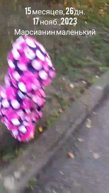 15 мес.,26 дн.Марсанин маленький.(17 нояб.2023).mp4
