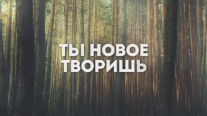 НОВОЕ ТВОРИШЬ | 🎤 КАРАОКЕ С ТЕКСТОМ
