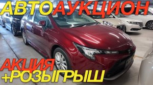 ЯПОНСКИЕ ТОРГИ И ЭКСПОРТ ПРОДОЛЖАЕТСЯ / TOYOTA COROLLA CROSS TOURING BELTA PREMIO SUZUKI XBEE