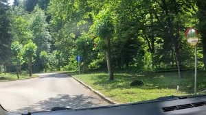 Гагры  - 2025 год (август)