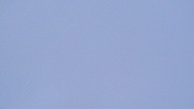 06.12.2025г.Витины здают зачёт.