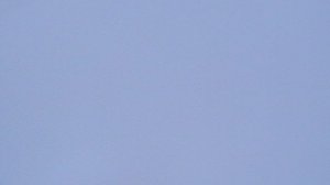 06.12.2025г.Витины здают зачёт.