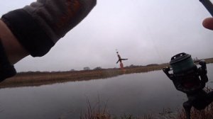 Кракозябра Lucky John Hogy Tail Рулит Ловля Окуня на Спиннинг Зимой