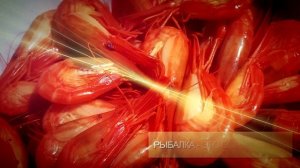 О рыбалке (2)