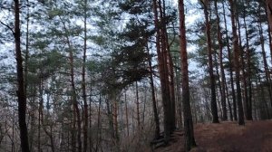 Новости в мире финансов и экономики. Начало декабря 2025 года