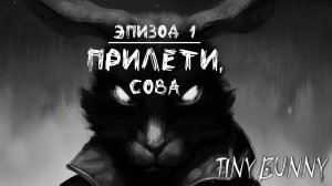 ПРИЛЕТИ, СОВА | Эпизод 1 | Tiny Bunny / Зайчик | #1