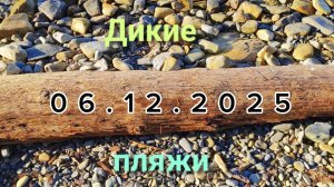 Анапа 06.12.2025 Дикие пляжи