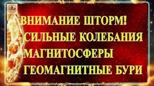 ВНИМАНИЕ ШТОРМ! СИЛЬНЫЕ КОЛЕБАНИЯ МАГНИТОСФЕРЫ И ГЕОМАГНИТНЫЕ БУРИ 7 ДЕАБРЯ 2025 ГОДА!!!