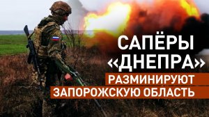 Работа сапёров группировки «Днепр» в Запорожской области — видео