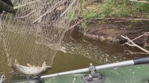 🎣НЕ ОКУНЬ🎣fishing#туризм#природа#ловля#рыбалка#щука#ловлящуки#ночевка#Чулым#река#спиннинг