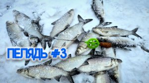 ЭТА РЫБАЛКА НЕ ДЛЯ ВСЕХ