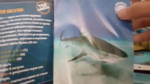 распаковка повелителей океана