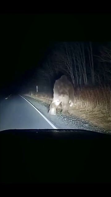 что ты такое