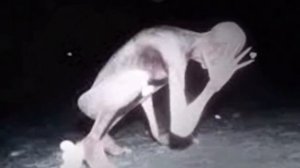 что ты такое