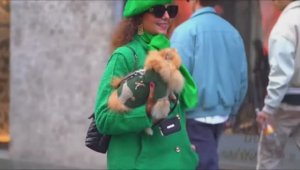 ⭐️ МИЛАНСКИЕ МОДНЫЕ ОБРАЗЫ ЭТОЙ ОСЕНИ